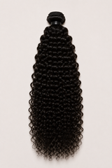 Burmese Curly